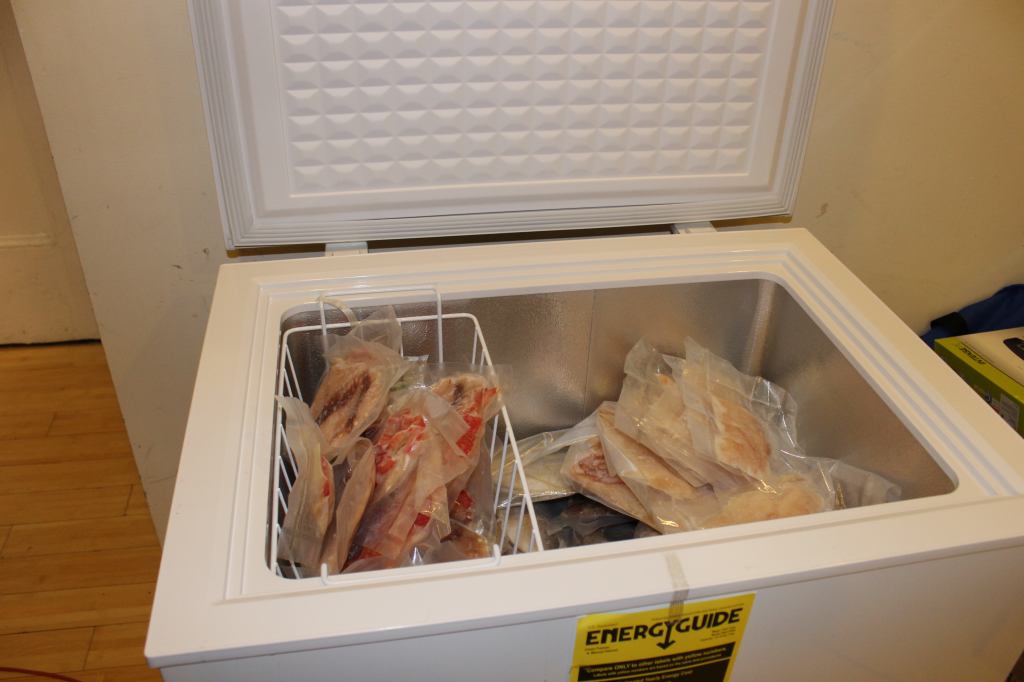 Porgies in the Freezer