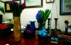 flowers3.png - 