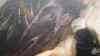 DSC03996.JPG - 2026:01:30 20:35:42