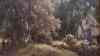 DSC04010.JPG - 2026:01:30 20:44:20