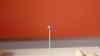 DSC04083.JPG - 2026:01:30 21:50:30