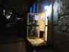 P1011473.JPG - 2026:03:22 13:00:03
