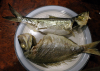 herring_porgy_convection_oven.png - 