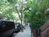 trees_sidewalksm.png - 