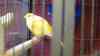 DSC04232.JPG - 2026:05:19 13:15:32