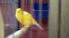 DSC04233.JPG - 2026:05:19 13:15:56