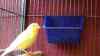 DSC04234.JPG - 2026:05:19 13:16:31