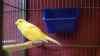 DSC04235.JPG - 2026:05:19 13:17:12