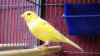DSC04239.JPG - 2026:05:19 13:19:04