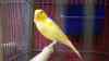 DSC04243.JPG - 2026:05:19 13:23:15