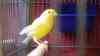 DSC04244.JPG - 2026:05:19 13:23:17