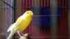 DSC04245.JPG - 2026:05:19 13:23:19