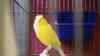 DSC04247.JPG - 2026:05:19 13:23:53