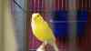 DSC04248.JPG - 2026:05:19 13:23:55