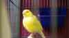 DSC04249.JPG - 2026:05:19 13:23:56
