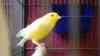 DSC04251.JPG - 2026:05:19 13:23:59