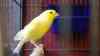 DSC04252.JPG - 2026:05:19 13:24:00