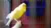 DSC04253.JPG - 2026:05:19 13:24:01