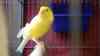 DSC04254.JPG - 2026:05:19 13:24:01