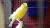 DSC04255.JPG - 2026:05:19 13:24:02