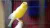 DSC04256.JPG - 2026:05:19 13:24:03