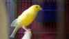 DSC04258.JPG - 2026:05:19 13:24:05