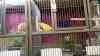 DSC04259.JPG - 2026:05:20 13:33:04