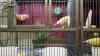 DSC04260.JPG - 2026:05:20 13:33:29