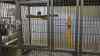 DSC04261.JPG - 2026:05:20 13:33:44