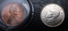 nz_kiwi_1.png - 