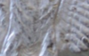 www.cointalk.com_45223d1240160390-1878-s-reverse-web.png - 