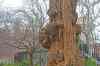 oak.jpg - 2013:01:13 14:04:15