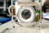 termnodontosaurus_r_2.png - 
