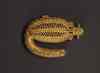 sawfish3.jpg - 