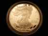 ase_2006_proof_obv_lg.1.jpg - 2006:12:11 17:54:30