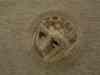 dsc00006.jpg - 2005:12:28 03:59:57