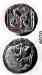 lion_illusion_coin3.jpg - 2022:02:16 08:39:27
