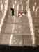panda_tourists.jpg - 