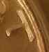 T.jpg - 2007:07:04 20:11:26