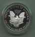 american_silver_eagle_reverse.jpg - 