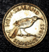 nz_kiwi_1_r.png - 