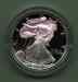 american_silver_eagle_obverse.jpg - 