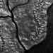 manhattan.jpg - 2009:01:02 02:20:25