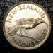 nz_kiwi_2_r.png - 