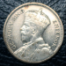 nz_kiwi_3.png - 