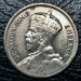 nz_kiwi_3b.png - 