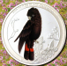 red_tailed_black_cockatoo_flowers_o.png - 