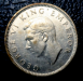 nz_kiwi_2.png - 