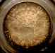 1806_half_dollar_0.125.r5_2_800.2.r.jpg - 2021:11:13 06:49:00