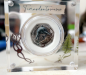 termnodontosaurus_r_1.png - 